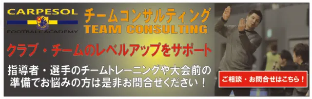 TEAM_CONSULTING